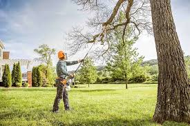 Best Lawn Irrigation Installation and Maintenance  in Ahtanum, WA