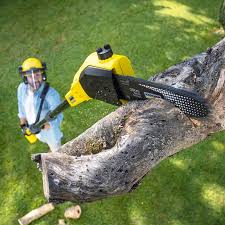 Best Commercial Tree Services  in Ahtanum, WA