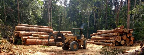 Best Soil Testing and Treatment  in Ahtanum, WA