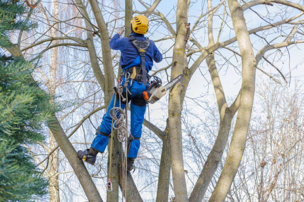Best Aeration Services  in Ahtanum, WA