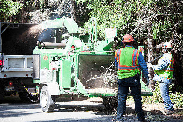 Best Tree and Shrub Care  in Ahtanum, WA
